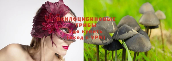 mdpv Алзамай