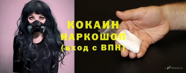 прущие крисы Абаза