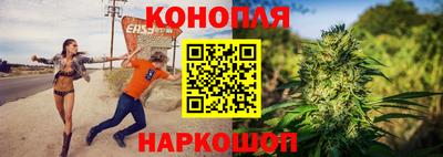 Альфа ПВП Краснознаменск