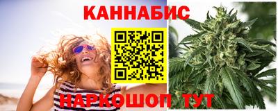 Альфа ПВП Краснознаменск
