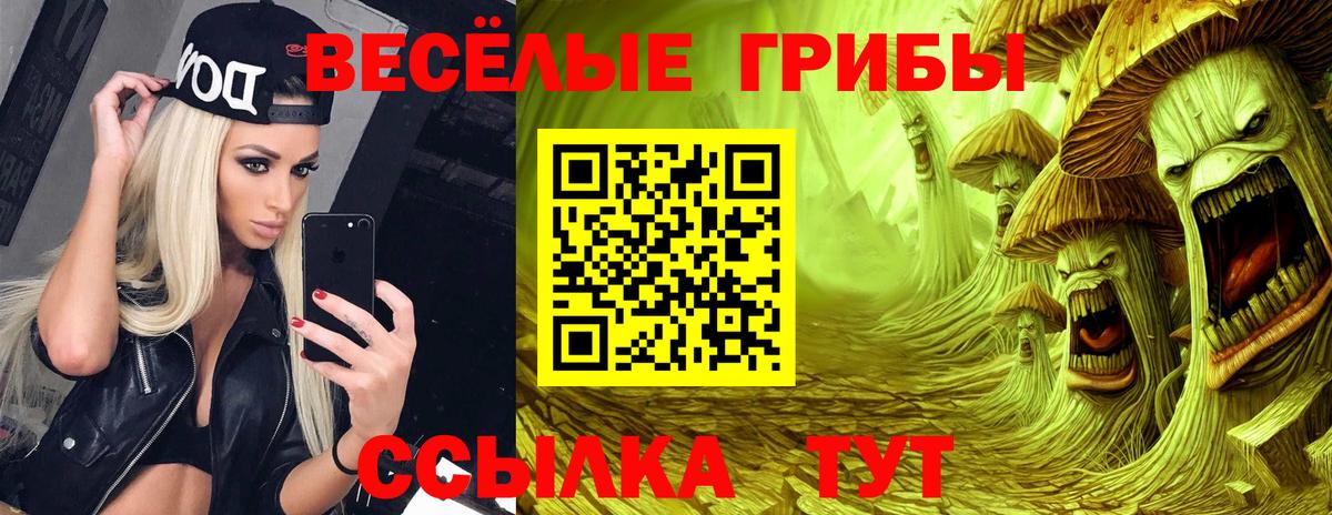 Псилоцибиновые грибы ЛСД Дзержинск