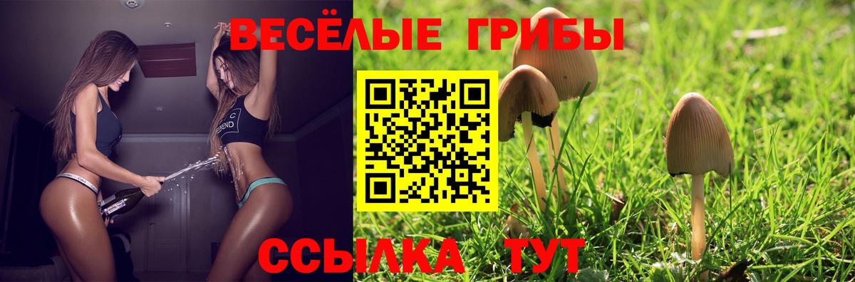 Галлюциногенные грибы MAGIC MUSHROOMS  Вход с VPN  Псилоцибиновые грибы Cubensis  Дзержинск 